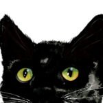 All artwork copyright Mischief Warren