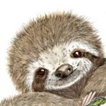 All artwork copyright Mischief Warren