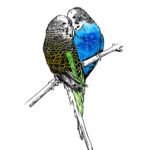 All artwork copyright Mischief Warren