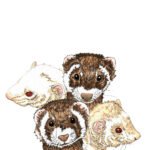 All artwork copyright Mischief Warren