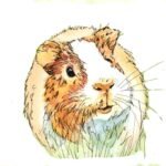 All artwork copyright Mischief Warren