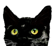 Cat Art Copyright Mischief Warren